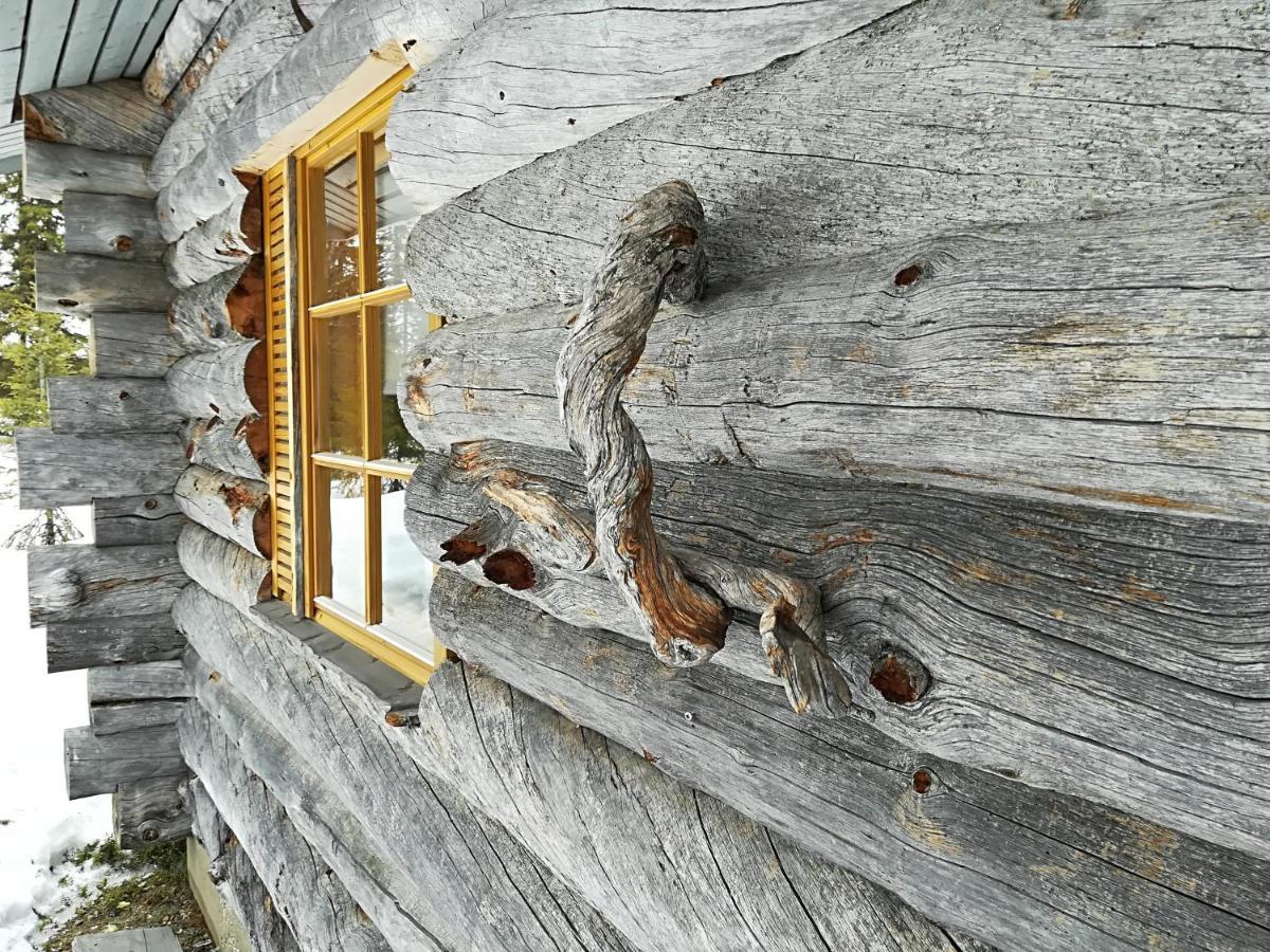 Logwood Chalet Луосто Екстериор снимка