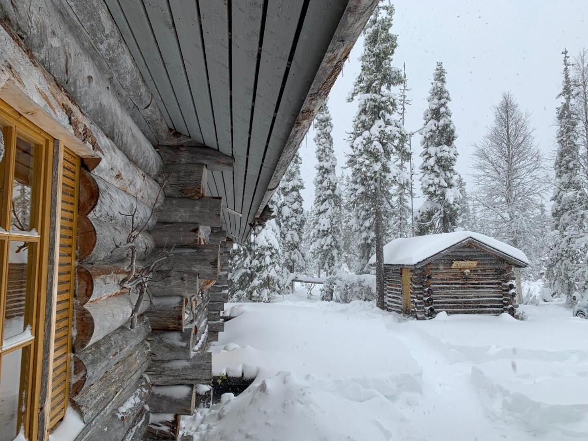 Logwood Chalet Луосто Екстериор снимка